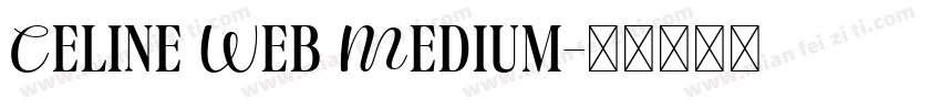 Celine Web Medium字体转换
